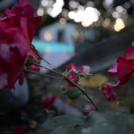 B&B Villa Lupidi Corridonia Екстер'єр фото