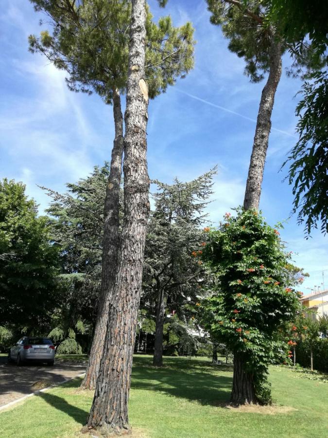 B&B Villa Lupidi Corridonia Екстер'єр фото