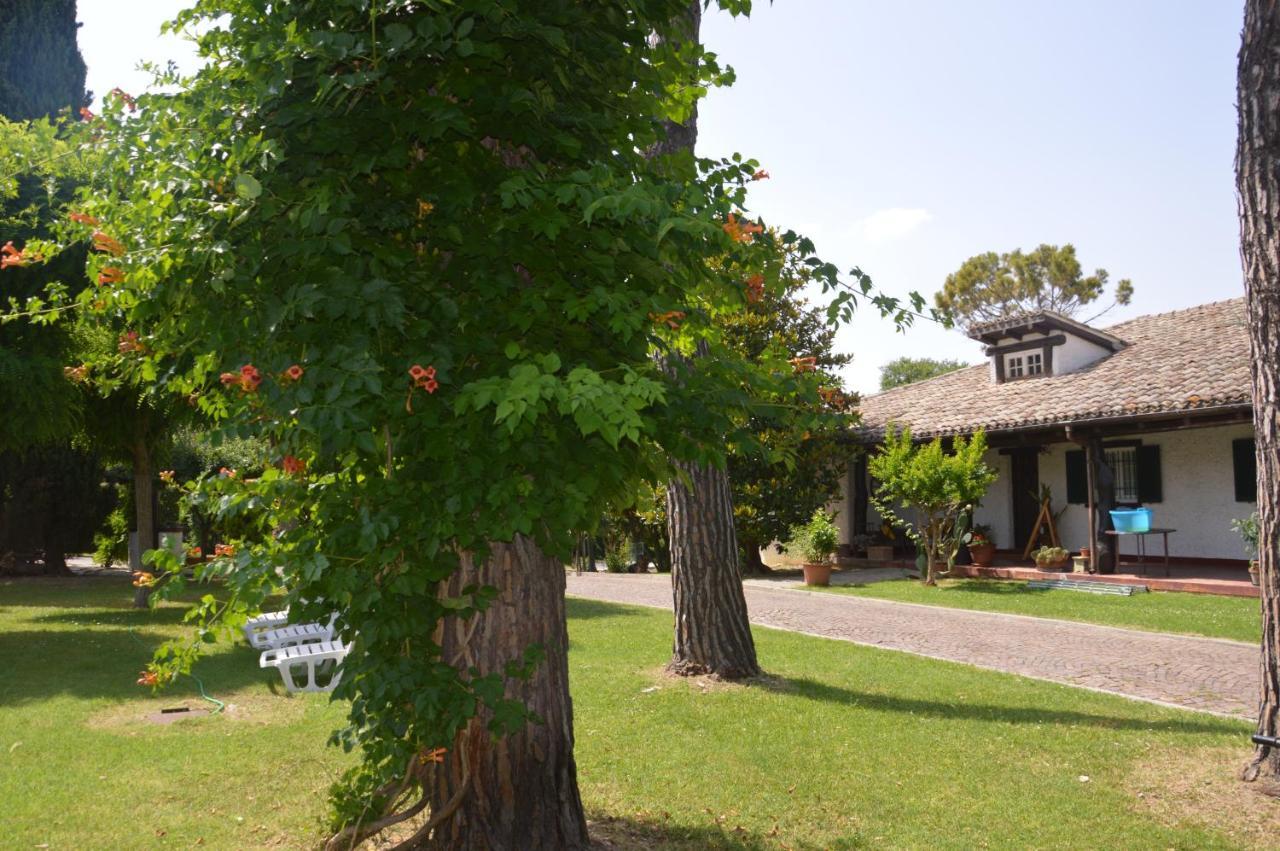 B&B Villa Lupidi Corridonia Екстер'єр фото