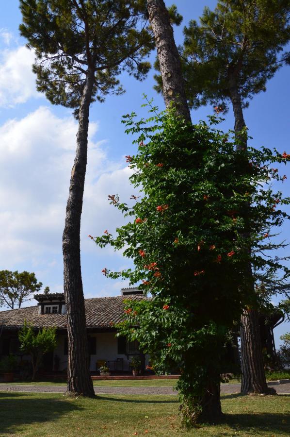B&B Villa Lupidi Corridonia Екстер'єр фото