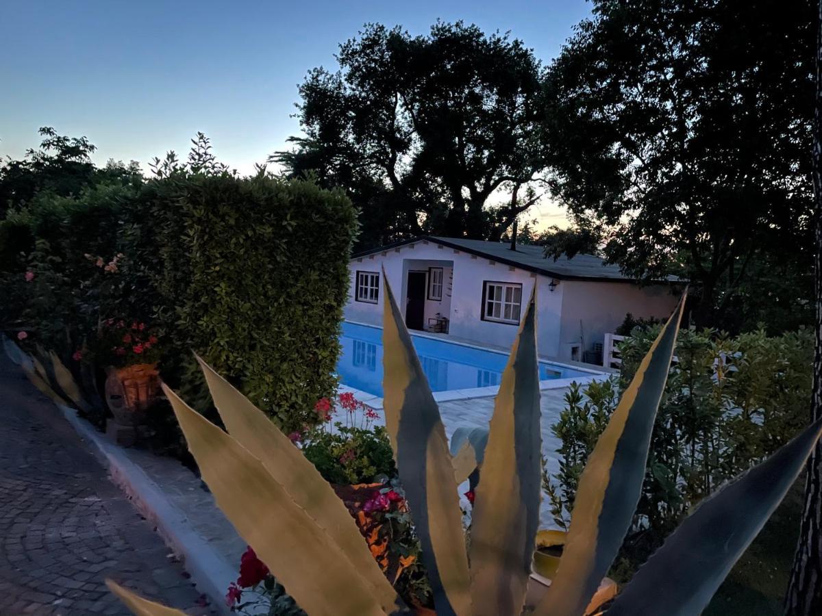 B&B Villa Lupidi Corridonia Екстер'єр фото