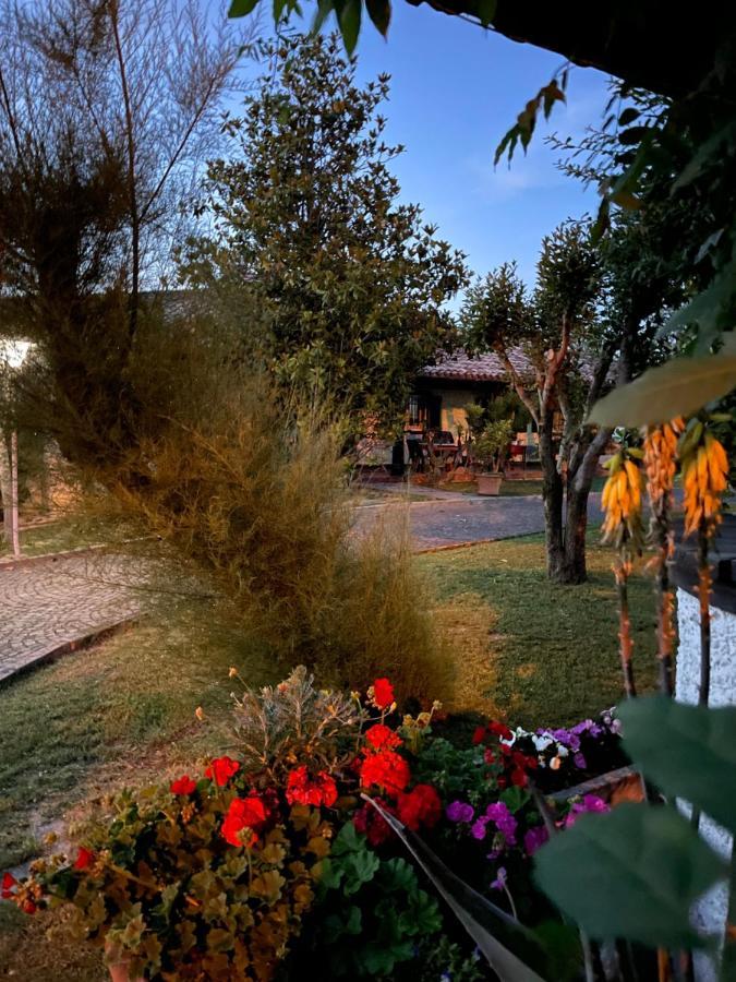 B&B Villa Lupidi Corridonia Екстер'єр фото