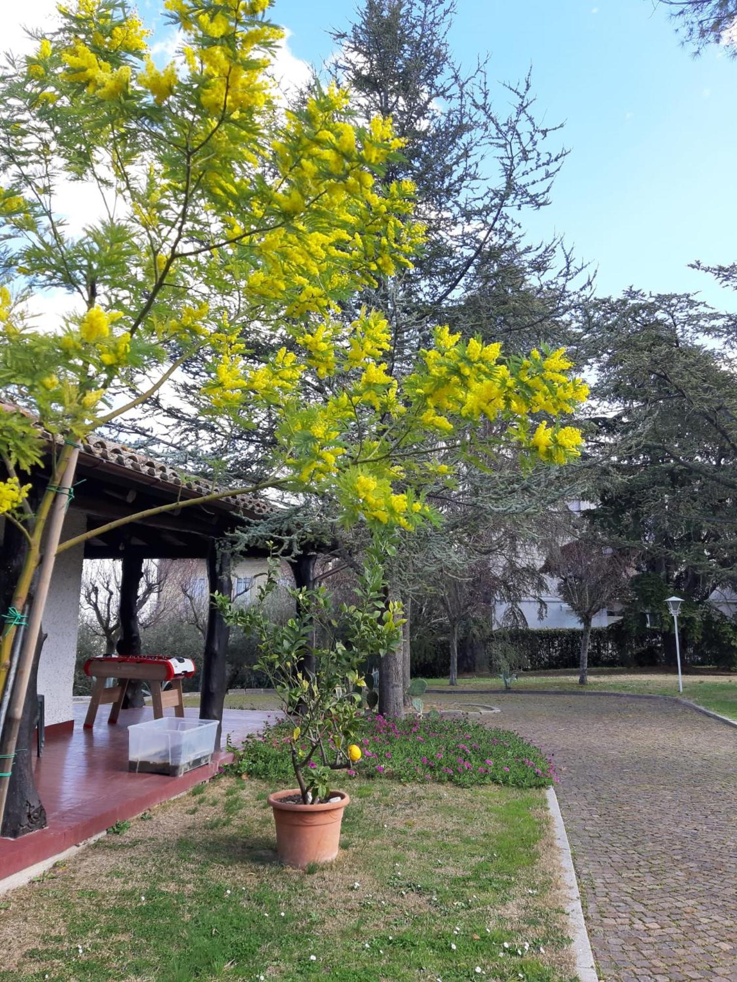B&B Villa Lupidi Corridonia Екстер'єр фото